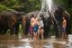 Thailand: Bathing time at the waterfall, Patara Elephant Farm, Chiang Mai Province