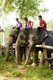 Thailand: Elephants and their Karen mahouts are a common sight throughout the valley around the Patara Elephant Farm, Chiang Mai Province
